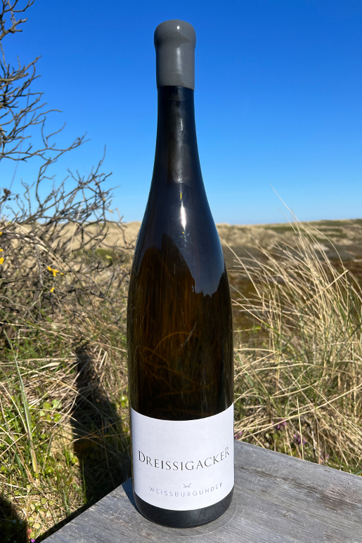2022 Dreissigacker Weissburgunder "only Sansibar" 3,0l 2022 Dreissigacker Weissburgunder "only Sansibar" 3,0l