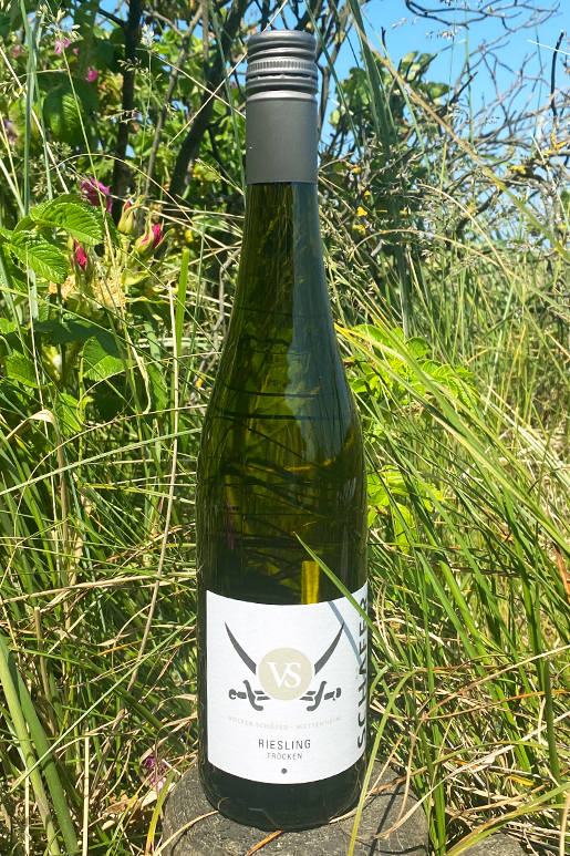 2022 Schäfer Riesling "only Sansibar" 0,75l  2022 Schäfer Riesling "only Sansibar" 0,75l