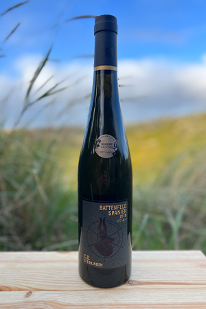 2019er Battenfeld-Spanier Riesling C.O. Steinlinden "Liquid Earth"  2019er Battenfeld-Spanier Riesling C.O. Steinlinden "Liquid Earth"