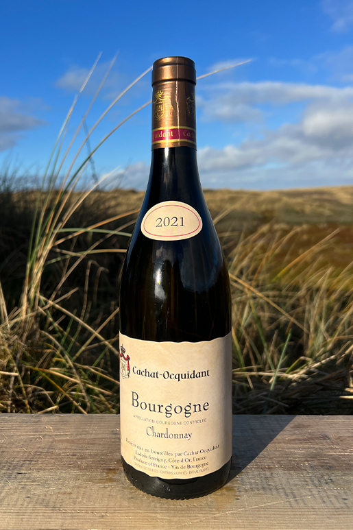 2021 Domaine Cachat-Ocquidant Bourgogne Chardonnay 0,75l  2021 Domaine Cachat-Ocquidant Bourgogne Chardonnay 0,75l