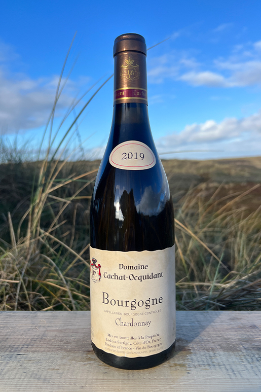 2019 Domaine Cachat-Ocquidant Bourgogne Chardonnay 0,75l 2019 Domaine Cachat-Ocquidant Bourgogne Chardonnay 0,75l