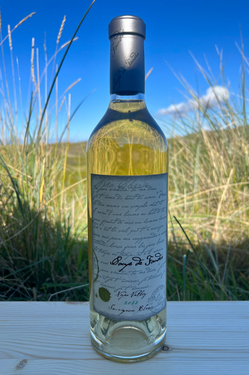 2022 Coup de Foudre Sauvignon Blanc 0,75l 2022 Coup de Foudre Sauvignon Blanc 0,75l