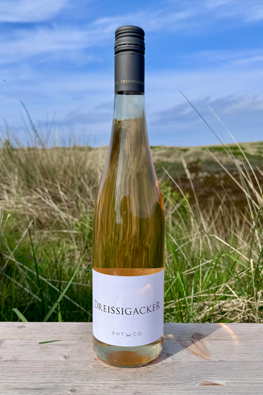 2024 Dreissigacker Pino & Co Rosé "only Sansibar" 0,75l  2024 Dreissigacker Pino & Co Rosé "only Sansibar" 0,75l