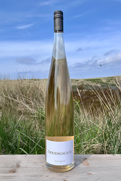 2024 Dreissigacker Pino & Co Rosé "only Sansibar" 1,5l 2024 Dreissigacker Pino & Co Rosé "only Sansibar" 1,5l