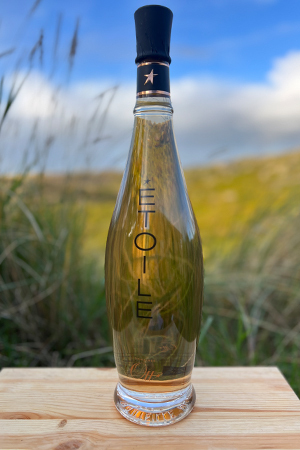 2022er Domaine Ott "Etoile" Rosé Magnum 2022er Domaine Ott "Etoile" Rosé Magnum