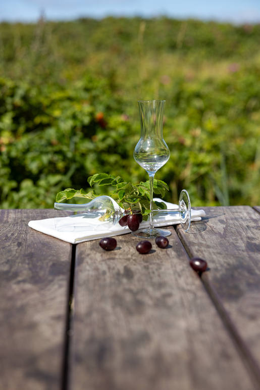 Zwiesel Grappa Vinody Glas Zwiesel Grappa Vinody Glas