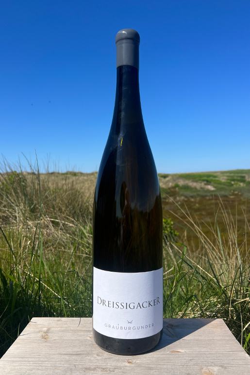 2024 Dreissigacker Grauburgunder "only Sansibar" 3,0l  2024 Dreissigacker Grauburgunder "only Sansibar" 3,0l