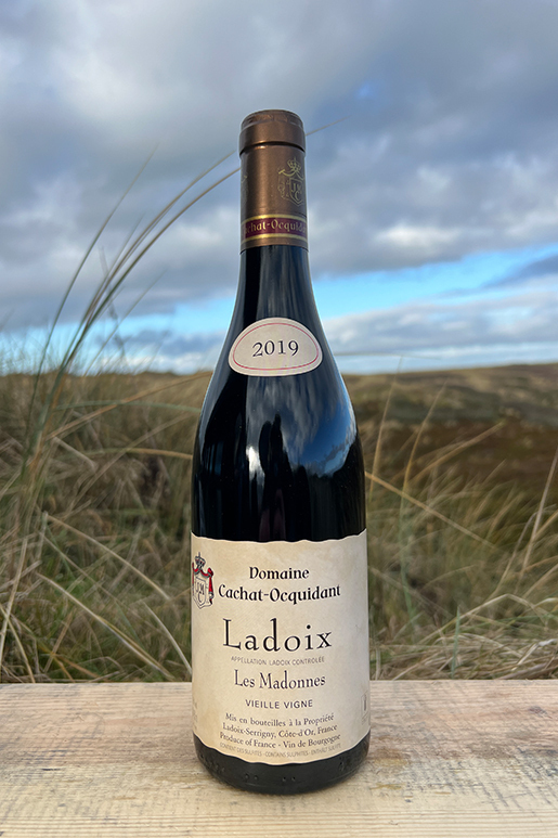 2019 Domaine Cachat-Ocquidant Ladoix Les Madonnes Vielles Vignes 0,75 l 2019 Domaine Cachat-Ocquidant Ladoix Les Madonnes Vielles Vignes 0,75 l