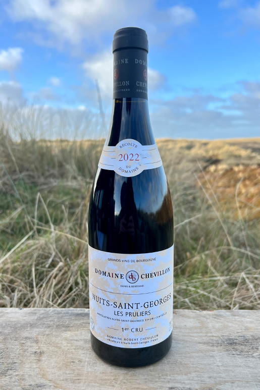 2022 Chevillon Nuits St. Georges Pruliers 1er Cru Pinot Noir 0,75l  2022 Chevillon Nuits St. Georges Pruliers 1er Cru Pinot Noir 0,75l