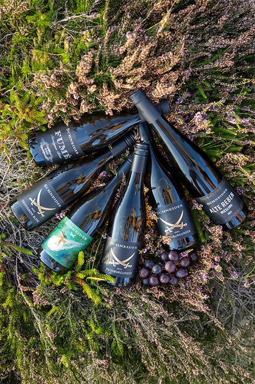 Schneider Weißwein Probierpaket Schneider Weißwein Probierpaket