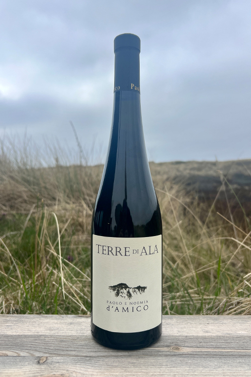 2024 Paolo d´Amico Tere di Ala Semillon / Sauvignon Blanc 0,75l  2024 Paolo d´Amico Tere di Ala Semillon / Sauvignon Blanc 0,75l
