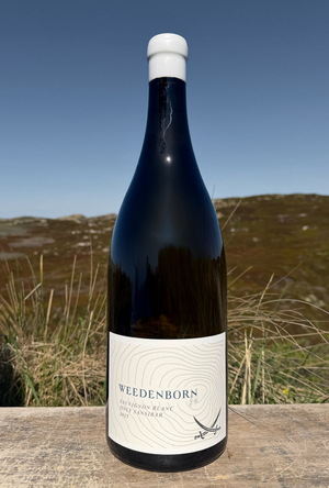 2025 Weedenborn Sauvignon Blanc "only Sansibar" 3,0l 2025 Weedenborn Sauvignon Blanc "only Sansibar" 3,0l