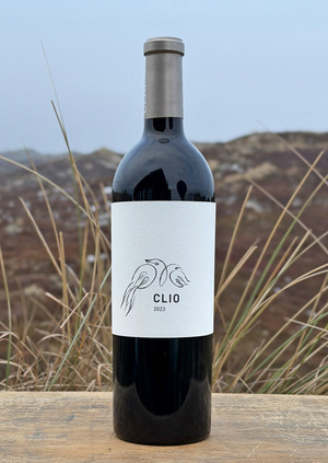 2023 Bodegas El Nido CLIO Jumilla D.O.P. 0,75l 2023 Bodegas El Nido CLIO Jumilla D.O.P. 0,75l