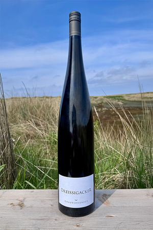 2024 Dreissigacker Grauburgunder "only Sansibar" 1,5l 2024 Dreissigacker Grauburgunder "only Sansibar" 1,5l