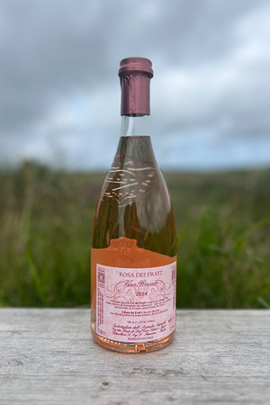 2023 Assmanshäuser Rosé Spätburgunder "only Sansibar" 0,75l 2023 Assmanshäuser Rosé Spätburgunder "only Sansibar" 0,75l