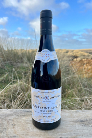 2022 Chevillon Nuits St. Georges Pruliers 1er Cru Pinot Noir 0,75l 2022 Chevillon Nuits St. Georges Pruliers 1er Cru Pinot Noir 0,75l