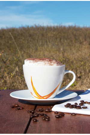 Sansibar Kaffeetasse Darboven Sansibar Kaffeetasse Darboven