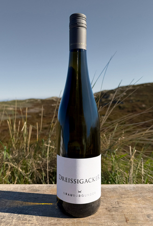 2024 Dreissigacker Grauburgunder „only Sansibar" 2024 Dreissigacker Grauburgunder „only Sansibar"