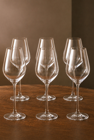 Sansibar Zwiesel Schaumweinglas 6er Set Sansibar Zwiesel Schaumweinglas 6er Set