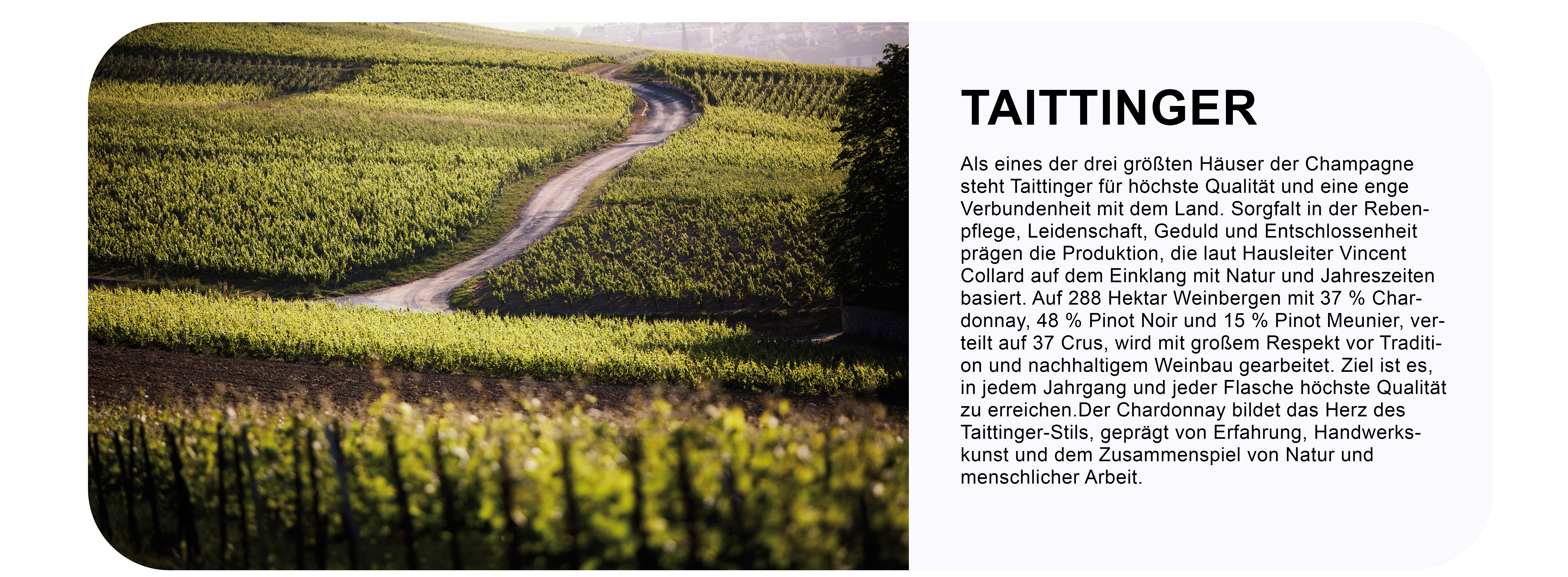taittingerheader entdecken_.jpg taittingerheader entdecken_.jpg