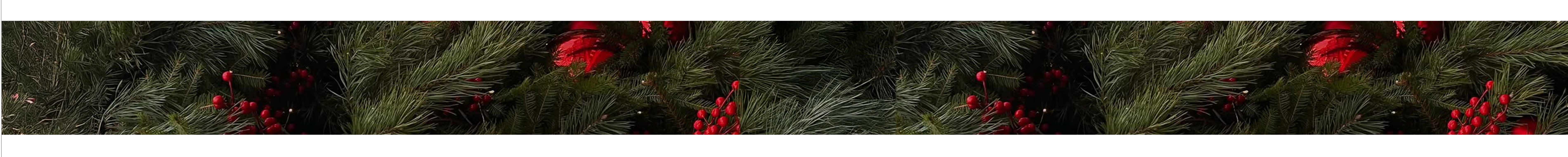 trenner02.jpg trenner02.jpg