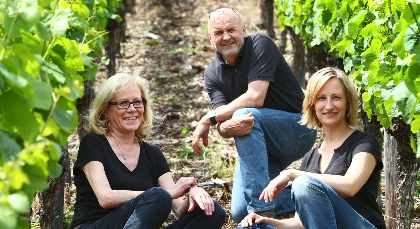 vineyard_0384_banner.webp vineyard_0384_banner.webp