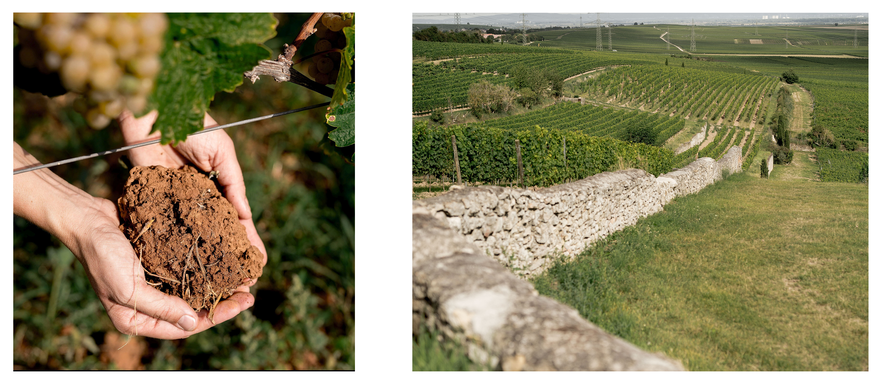 weedenbornimage02.jpg weedenbornimage02.jpg