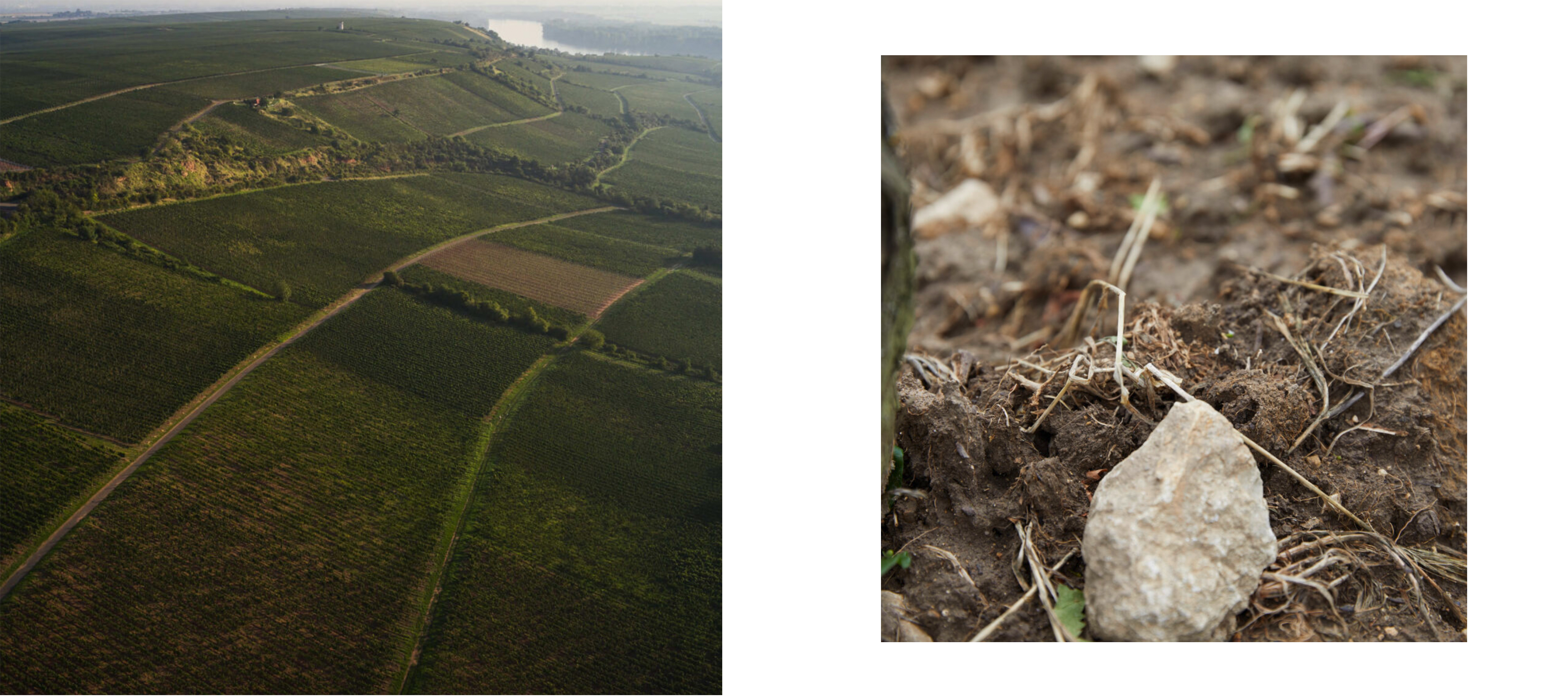 wittmannimage002.jpg wittmannimage002.jpg